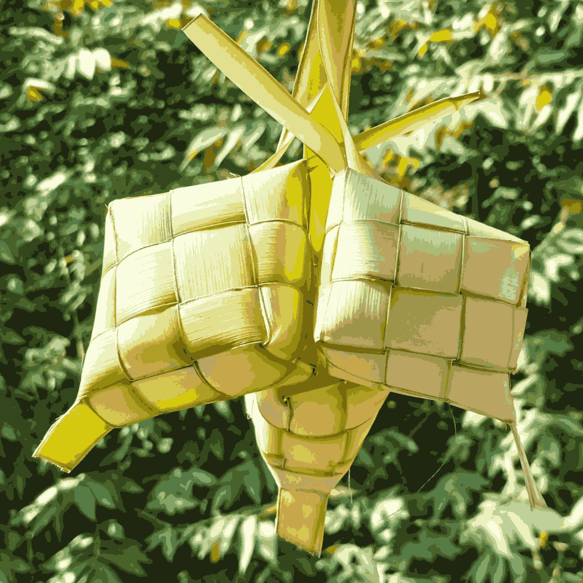 Tips Pola Makan Bijak saat Lebaran untuk Mencegah Gangguan Kesehatan