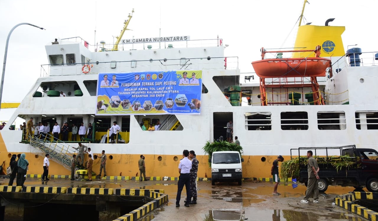 Gubernur Gusnar Ismail Dorong Gorontalo Maju Lewat Program Peternakan Sapi