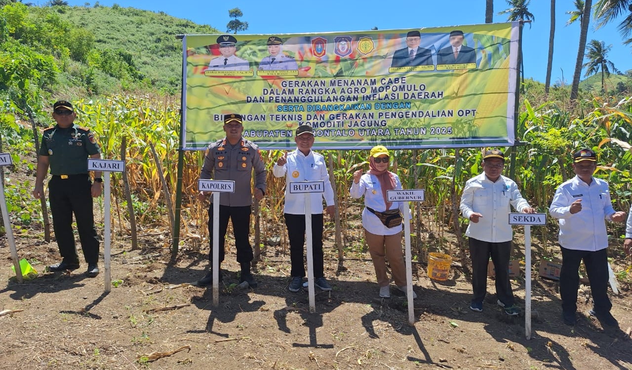 Wagub Gorontalo Idah Syahidah Tinjau Pasar Murah dan Proyek Listrik Bawah Laut di Pulau Dudepo