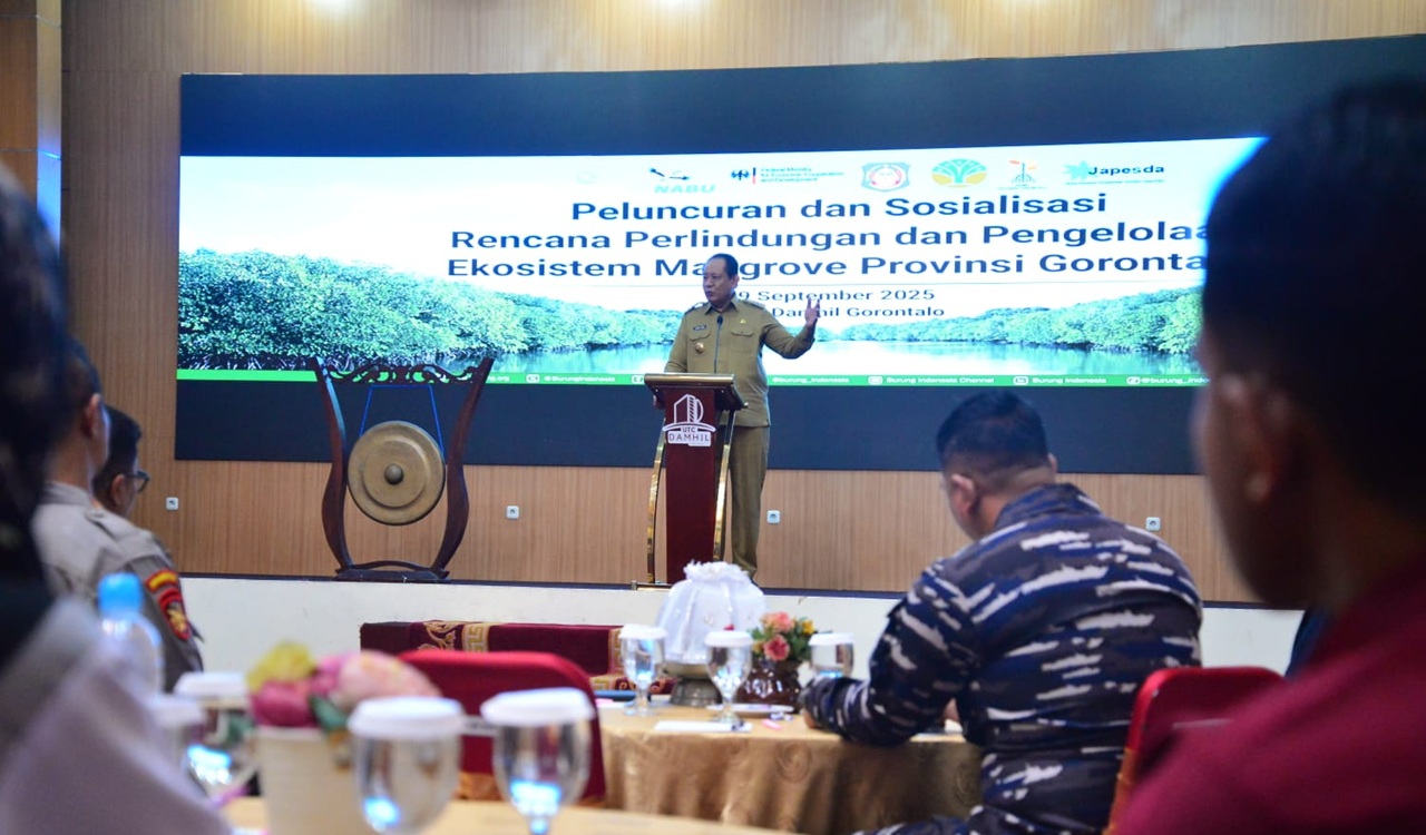 Gorontalo Sosialisasikan Dokumen Pengelolaan Mangrove, Fokus pada Rehabilitasi dan Ekonomi Biru