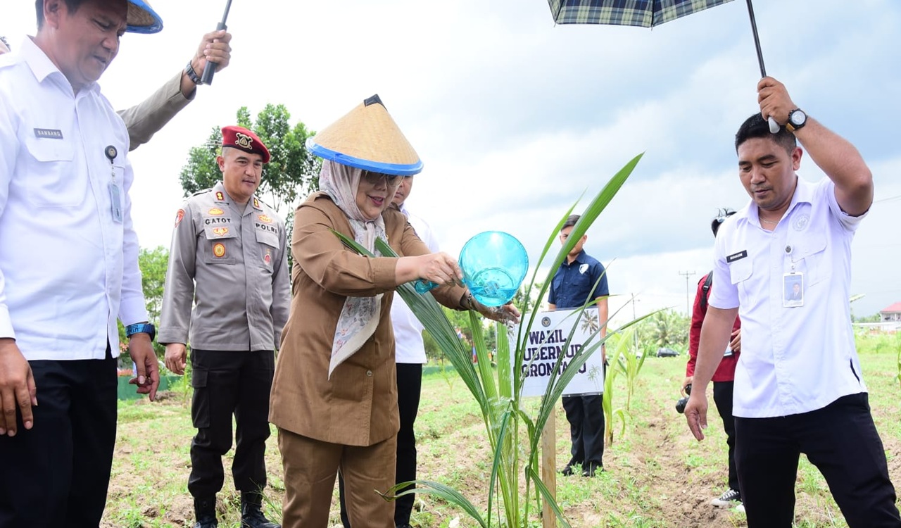 Idah Syahidah Tanam 3.500 Pohon Kelapa di Lapas Perempuan, Dukung Program Ketahanan Pangan Nasional
