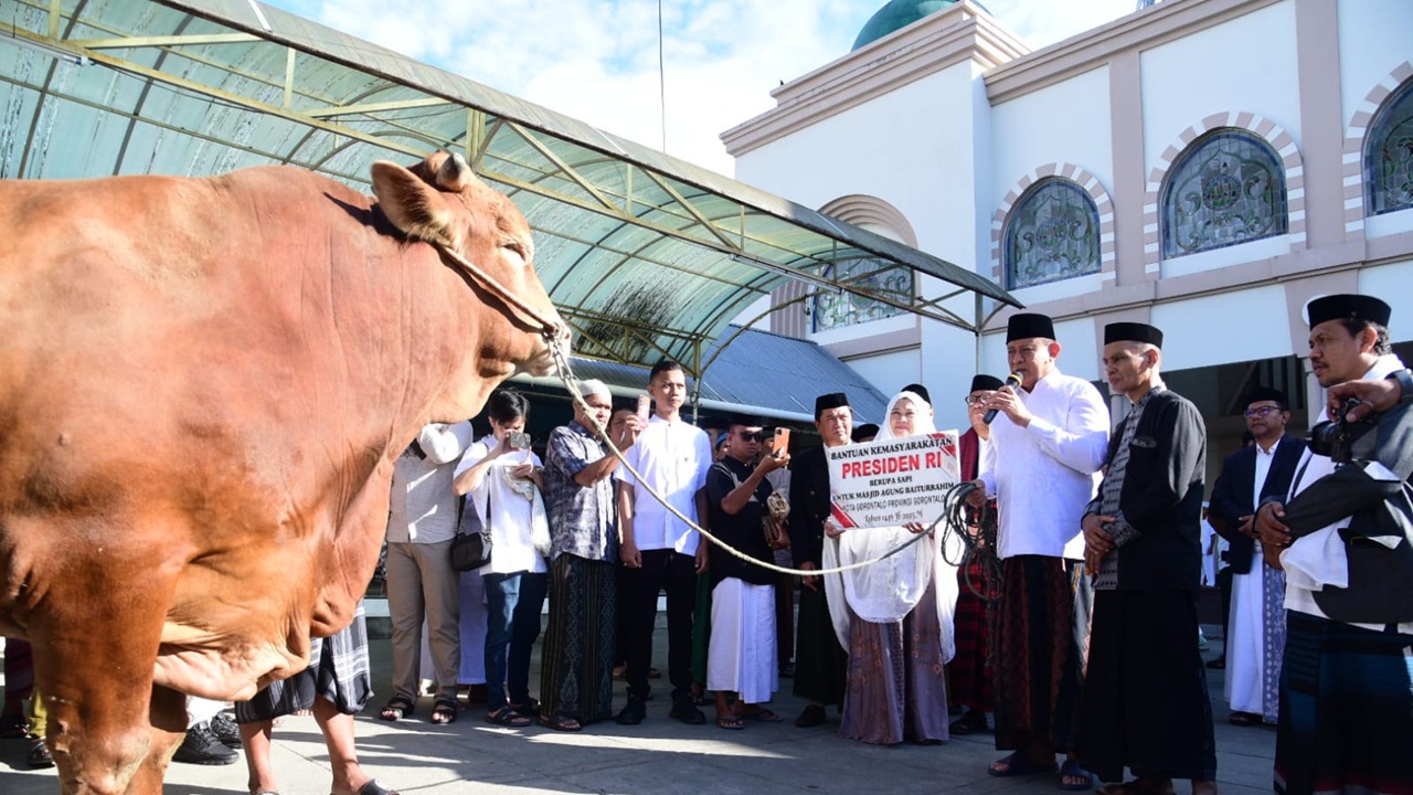Gusnar Ismail Serahkan Bantuan Sapi Kurban dari Presiden RI, Prabowo Subianto