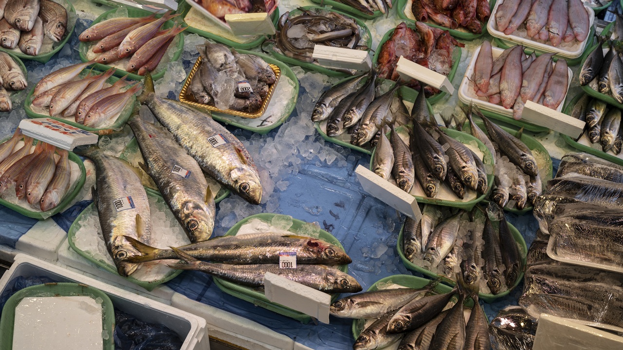 Harga Jual Ikan di Gorontalo Melonjak Naik 20 Persen!
