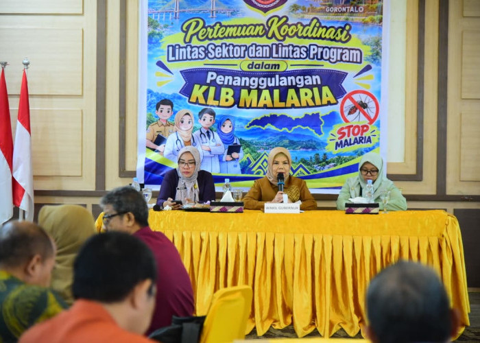 Wagub Idah Syahidah Ajak Koordinasi Lintas Sektor Tanggulangi KLB Malaria di Goronto