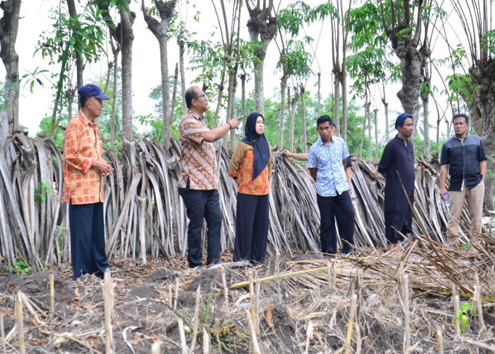 Pemprov Gorontalo Tinjau Lahan 7 Hektar untuk Pembangunan Sekolah Rakyat di Kayumerah