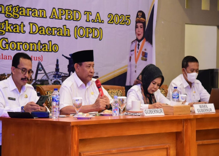 Serapan Anggaran Pemprov Gorontalo 2025 Tertinggi Nasional, Gusnar Ismail Minta OPD Genjot Kinerja