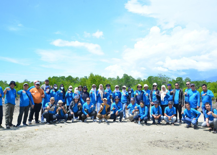 900 Bibit Disemai, Torosiaje Siap Rehabilitasi Lahan Mangrove Tiga Hektar