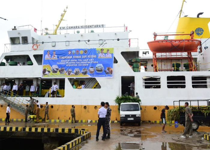 Gubernur Gusnar Ismail Dorong Gorontalo Maju Lewat Program Peternakan Sapi