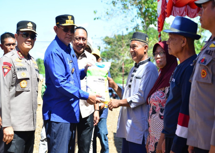 Pemprov dan Polda Gorontalo Tanam Jagung di GORR, Dorong Citra 'Provinsi Jagung'