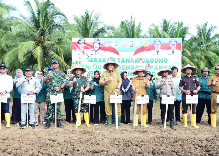 Bantu Produktivitas Petani, Gubernur Gorontalo Serahkan Alsintan di Pohuwato