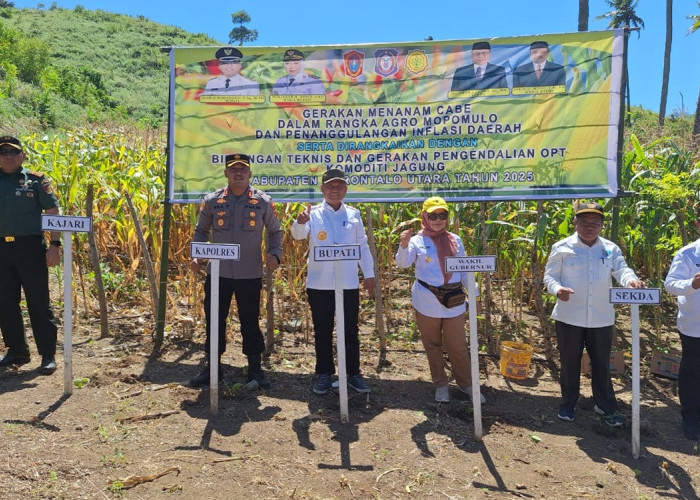 Wagub Gorontalo Idah Syahidah Tinjau Pasar Murah dan Proyek Listrik Bawah Laut di Pulau Dudepo