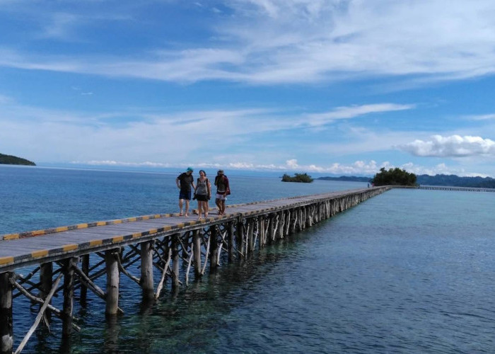 Kepulauan Togean, Surga Bahari yang Menyimpan Ratusan Biota Laut dan Pesona Bawah Laut