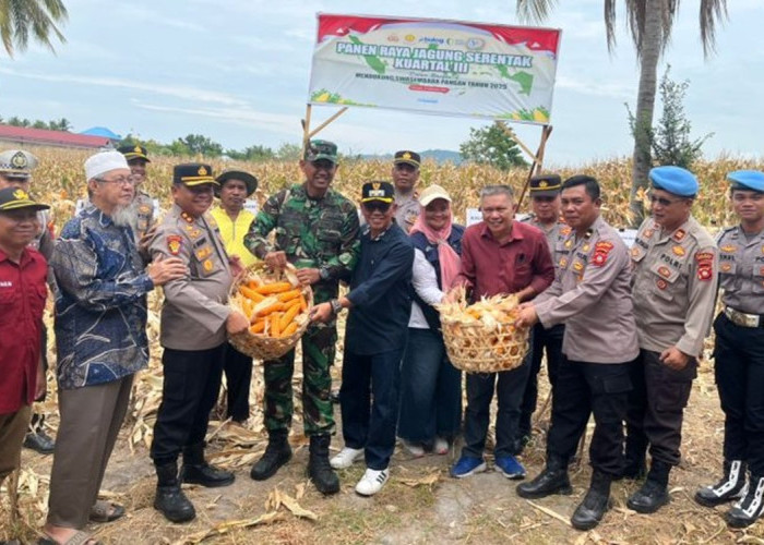 Polres Pohuwato Gelar Panen Raya Jagung Serentak Kuartal III, Dukung Swasembada Pangan Nasional 2025