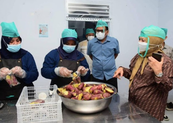 Pastikan Makanan Aman dan Higienis, Idah Syahidah Tinjau SPPG MBG Gorontalo Sejak Subuh