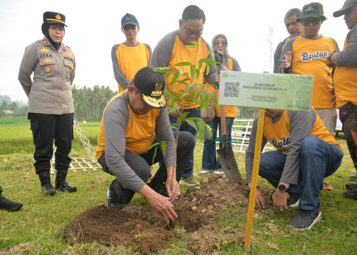 Penghijauan GORR: Pemerintah Gorontalo Tanam Pohon dan Bagikan Bibit ke Warga