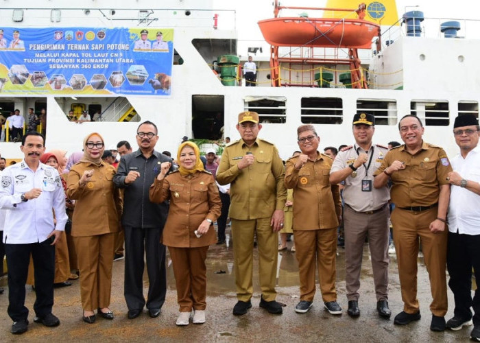 Gorontalo Kirim 355 Ekor Sapi ke Kalimantan Utara, Wagub Dorong Generasi Muda Terjun ke Peternakan