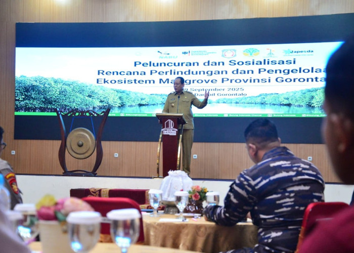 Gorontalo Sosialisasikan Dokumen Pengelolaan Mangrove, Fokus pada Rehabilitasi dan Ekonomi Biru