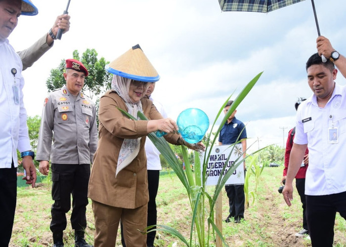 Idah Syahidah Tanam 3.500 Pohon Kelapa di Lapas Perempuan, Dukung Program Ketahanan Pangan Nasional