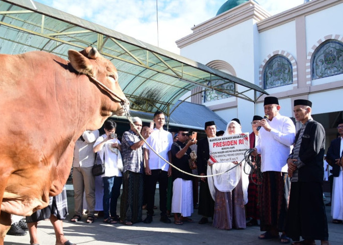 Gusnar Ismail Serahkan Bantuan Sapi Kurban dari Presiden RI, Prabowo Subianto
