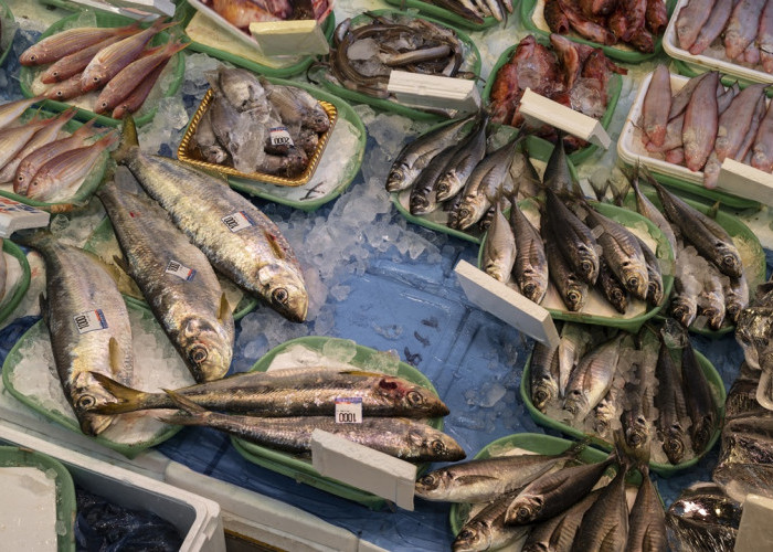 Harga Jual Ikan di Gorontalo Melonjak Naik 20 Persen!
