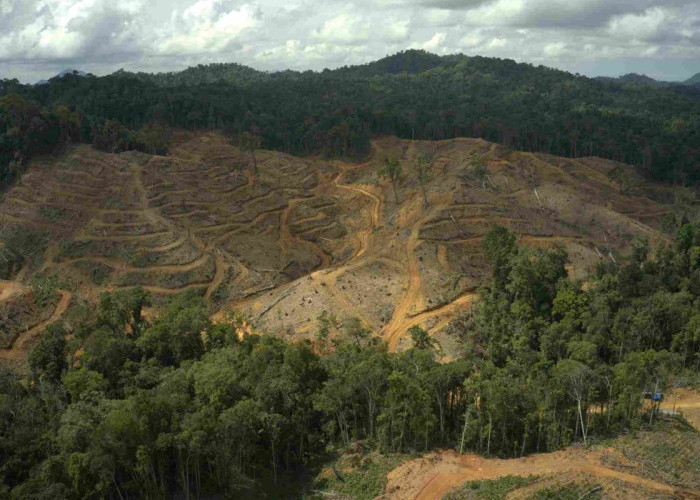 JAPESDA Ingatkan Bahaya Alih Fungsi Lahan di Wilayah Pegunungan Gorontalo