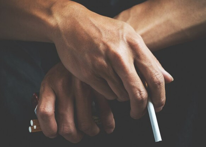 Penyelundupan 445.800 Batang Rokok Ilegal di Gorontalo Sukses Digagalkan Bea Cukai dan TNI