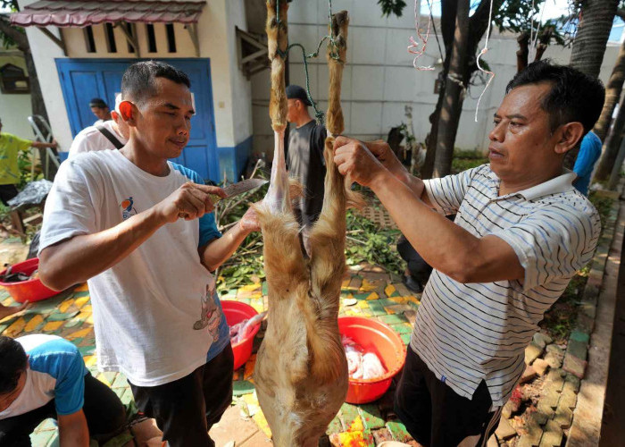 Berbagi Berkah dan Kebahagiaan Idul Adha, PGN Group Bagikan 955 Hewan Kurban untuk Masyarakat