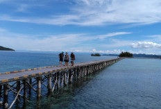 Kepulauan Togean, Surga Bahari yang Menyimpan Ratusan Biota Laut dan Pesona Bawah Laut